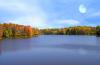 bonne nature